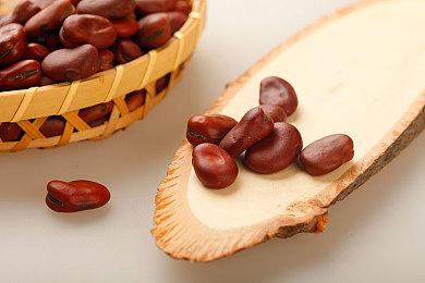 粉丝用虚幻5引擎重制《黑暗之魂》篝火传火